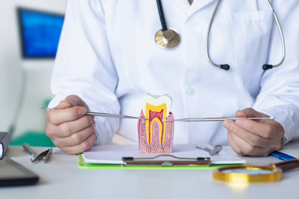 Best Emergency Treatment for Dental Infections or Abscesses in Pennside, PA